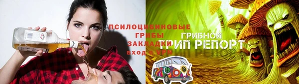 индика Магадан