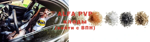 индика Магадан