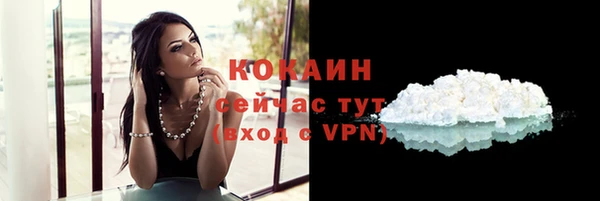 МДПВ Медвежьегорск