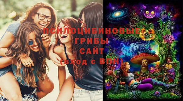 индика Магадан