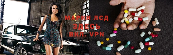 индика Магадан