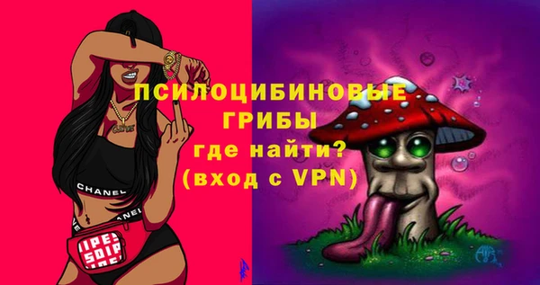 спайс Магас