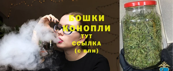 соль ск Медногорск